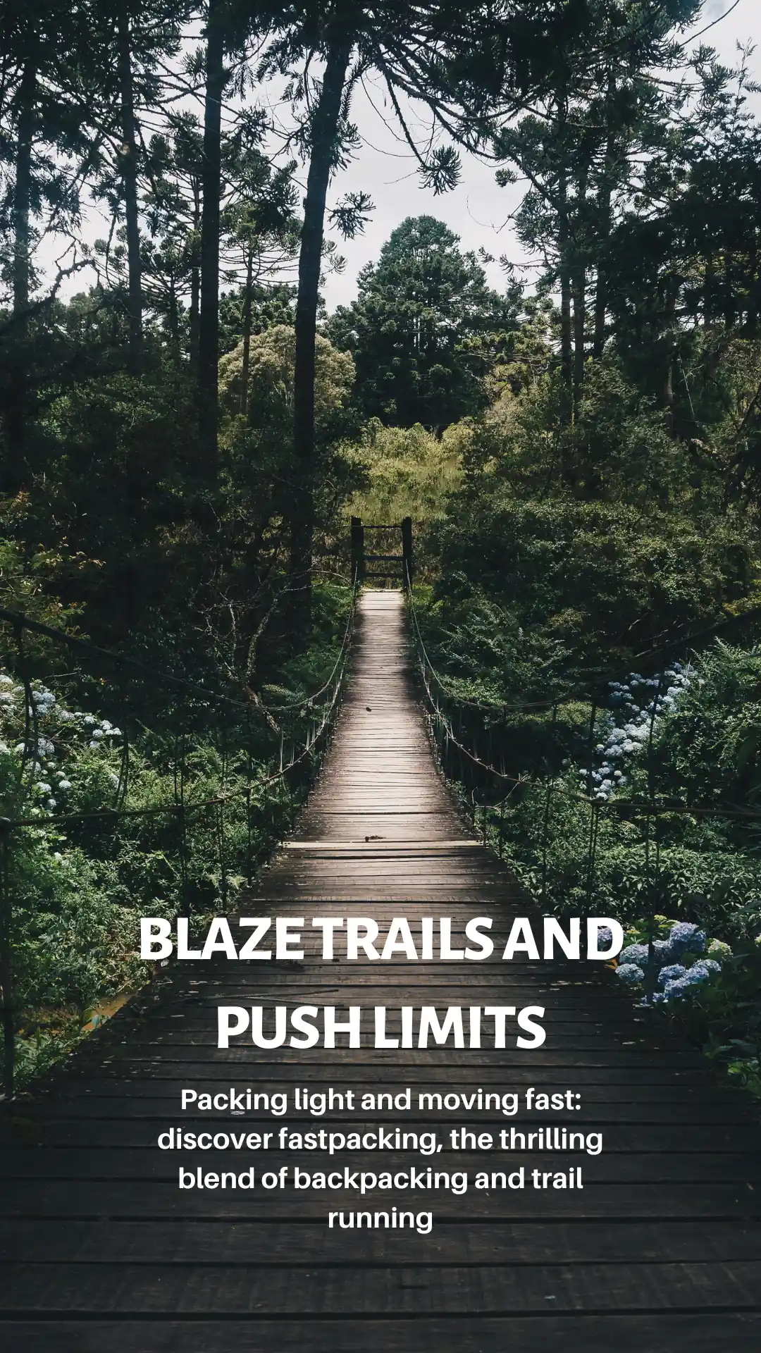 Trail bridge crossing through the forest